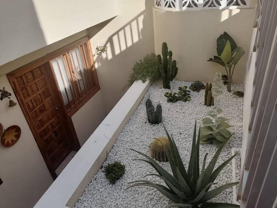 Casa Las Pencas De Margarita Los Realejos Ngoại thất bức ảnh