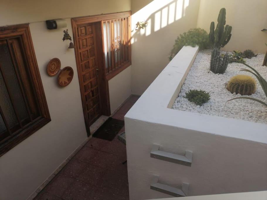 Casa Las Pencas De Margarita Los Realejos Ngoại thất bức ảnh